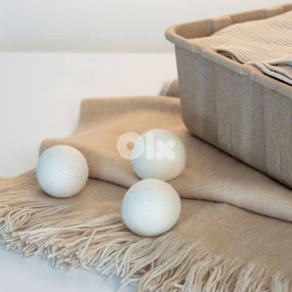wenko dryer balls 1