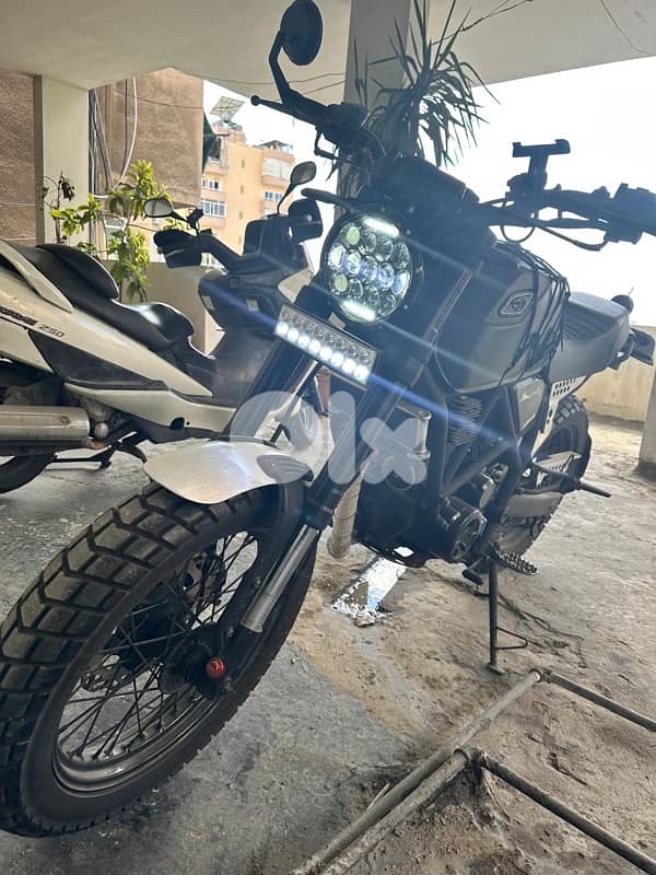 peda scarmbler 250 cc for sale 3