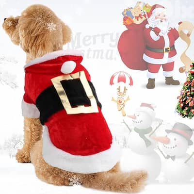 Santa Dog Costume