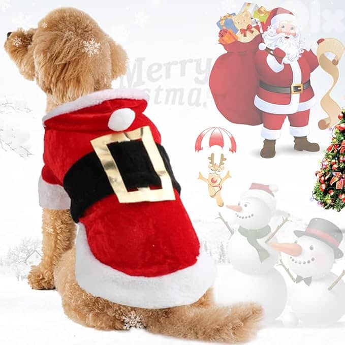 Santa Dog Costume 0