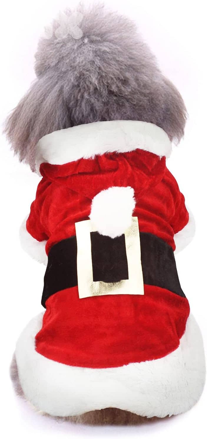Santa Dog Costume 2