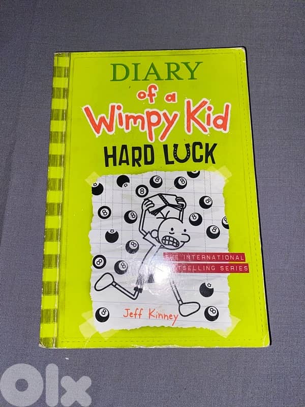 Diary Of A Wimpy kid books 3