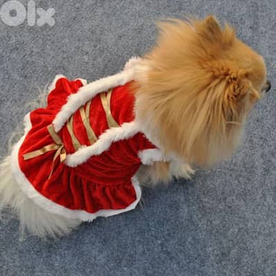 Christmas Costume for Cats & Small Dogs