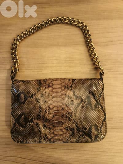 Lizard Ferragamo Salvadore