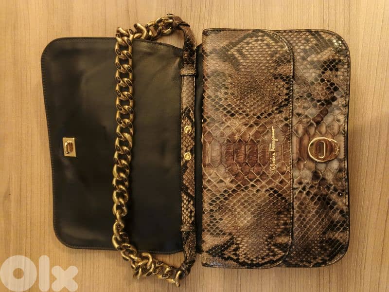 Lizard Ferragamo Salvadore 1