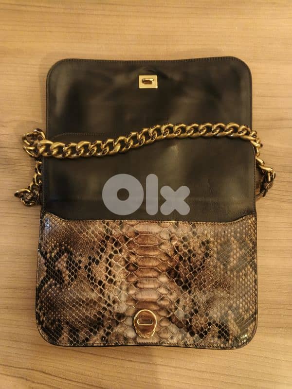 Lizard Ferragamo Salvadore 2