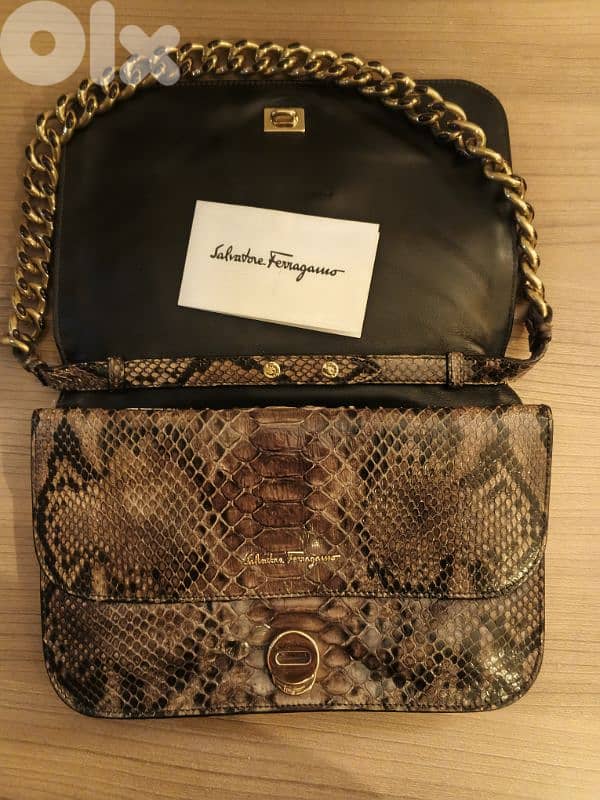 Lizard Ferragamo Salvadore 3