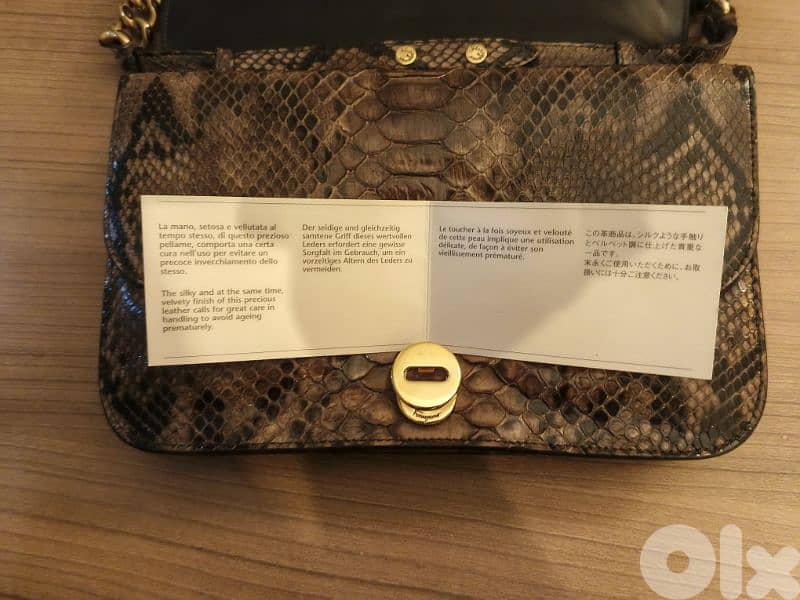 Lizard Ferragamo Salvadore 4