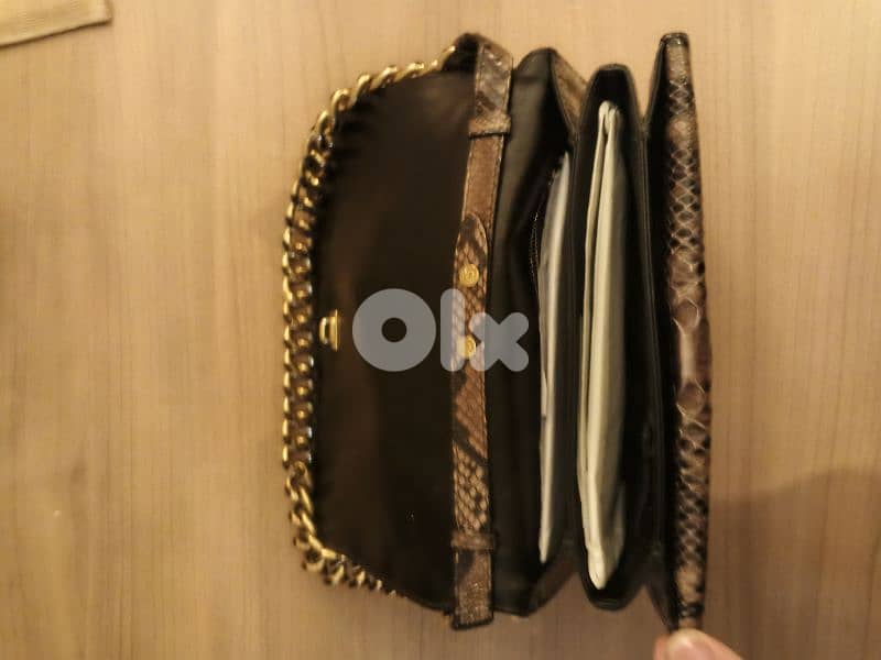 Lizard Ferragamo Salvadore 5