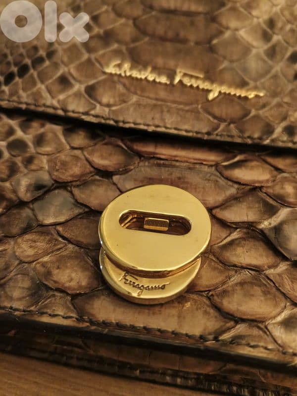 Lizard Ferragamo Salvadore 6