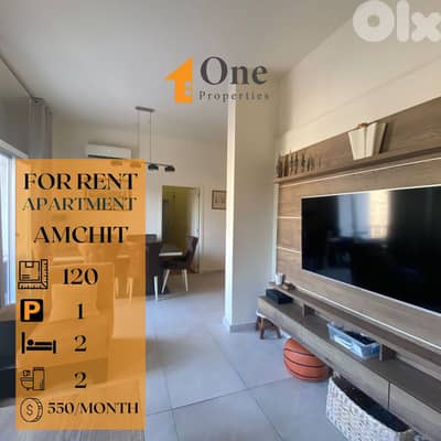 APARTMENT FOR RENT IN AMCHIT