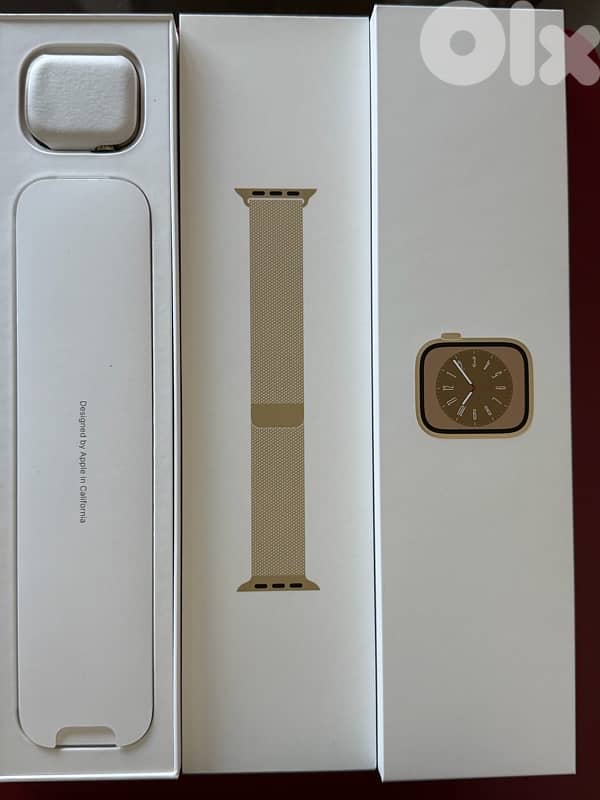 apple watch series 8 stainless steel GPS + cellular 9