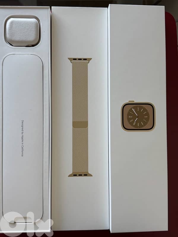 apple watch series 8 stainless steel GPS + cellular 10