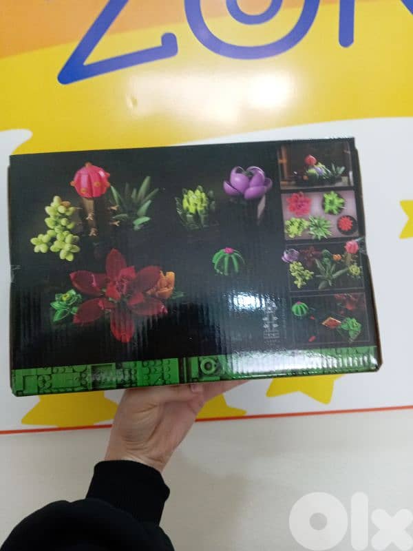 Botanical collection 1