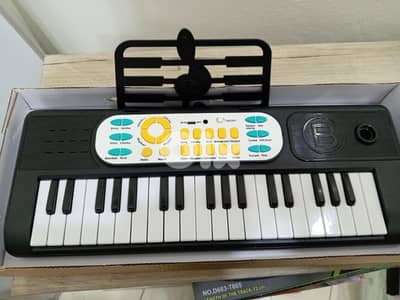 multifuncational electronic organ