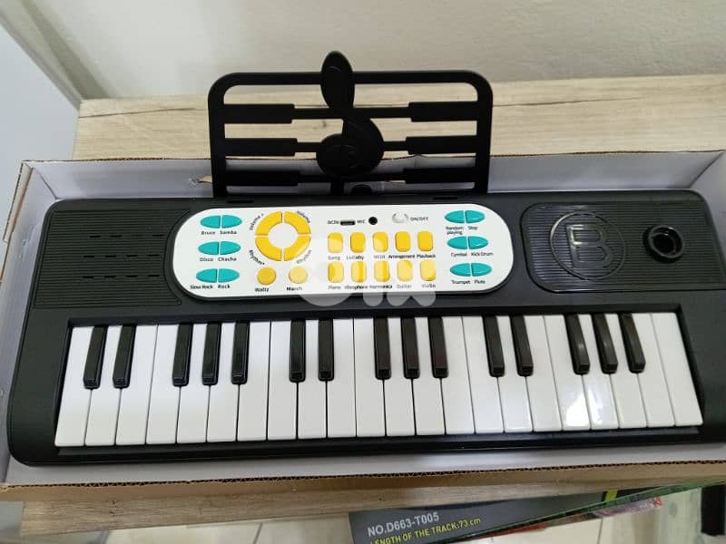 multifuncational electronic organ 0