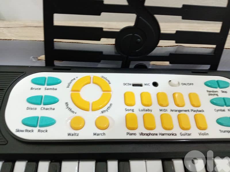 multifuncational electronic organ 1