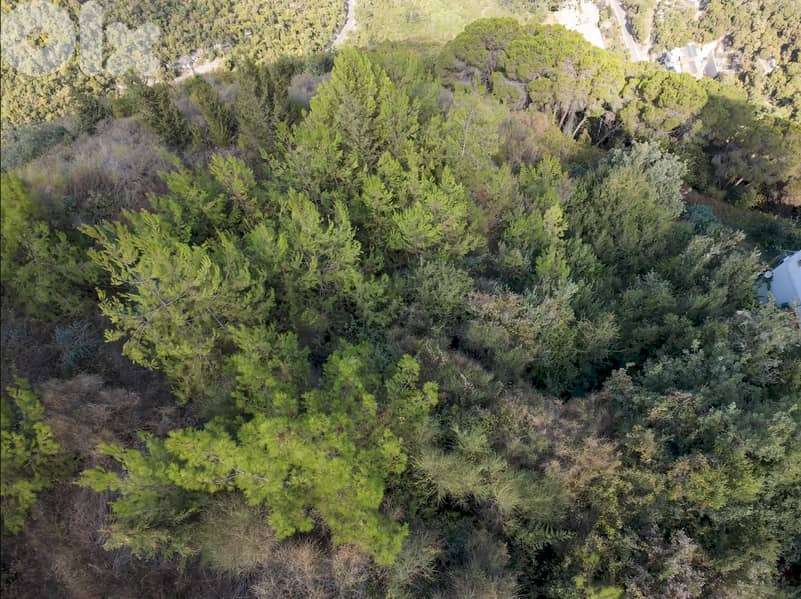 Land in Ghedras with Sea View - أرض في غدراس بإطلالة بحرية 1