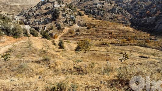 Huge Mountain include 9 lands For Sale in Tannourine