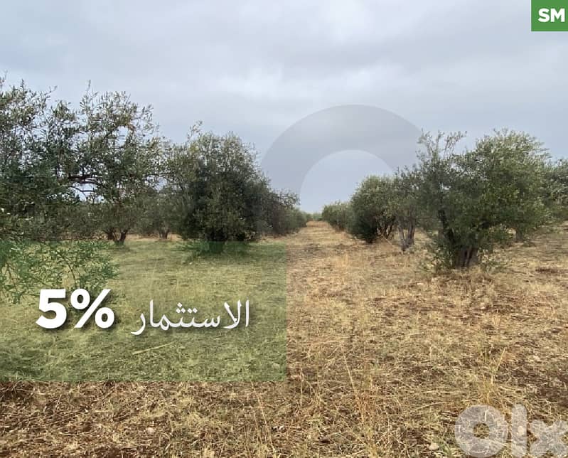 For Sale – prime land in Arqa REF#SM129325 0