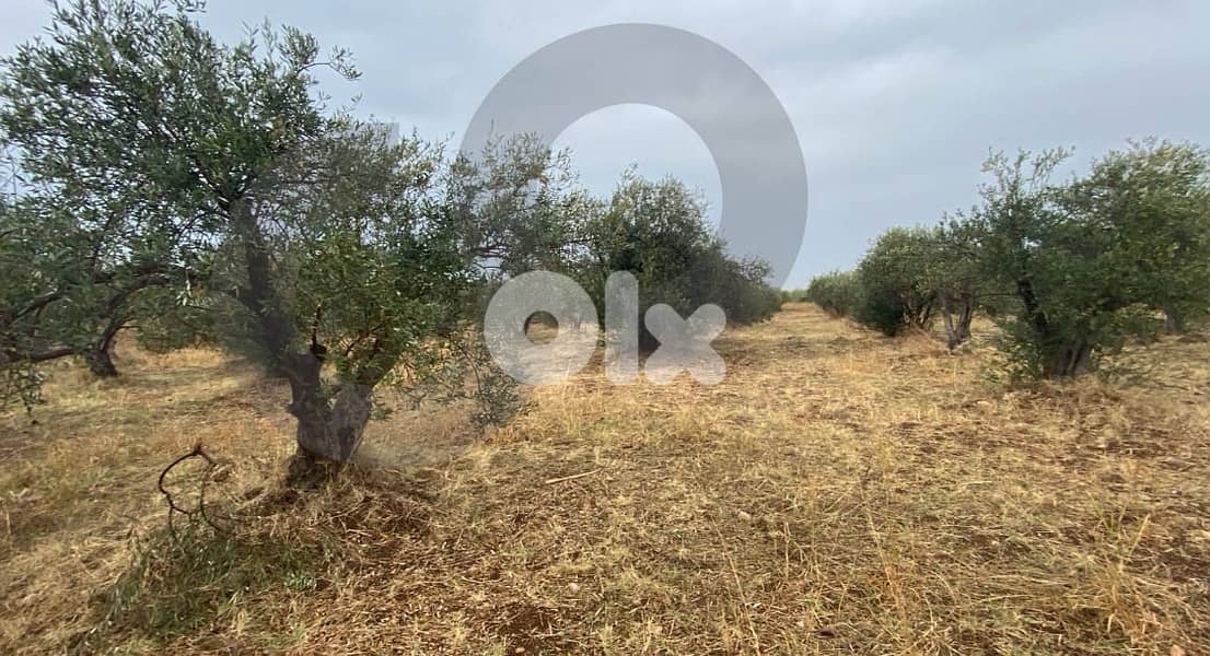 For Sale – prime land in Arqa REF#SM129325 1