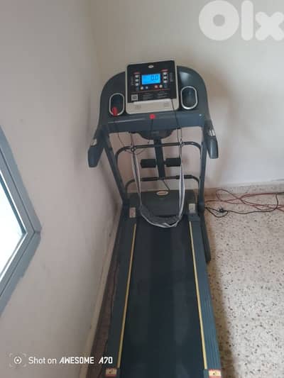 الاوزاعى  دوار  السمكة