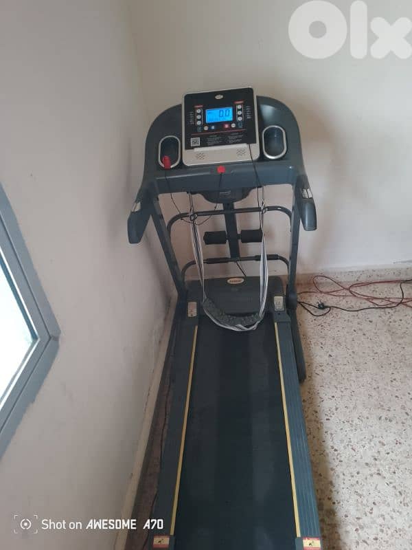 الاوزاعى  دوار  السمكة 0