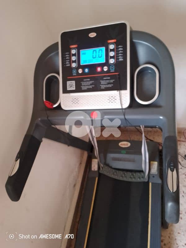 الاوزاعى  دوار  السمكة 2