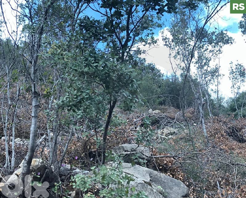 Hot Deal for Investors & Developers - Adonis – Jbeil REF#RS130048 0