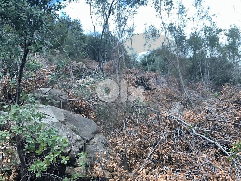 Hot Deal for Investors & Developers - Adonis – Jbeil REF#RS130048 1