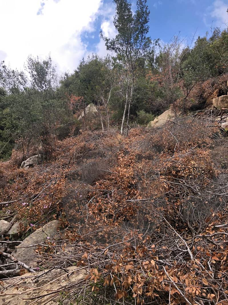 Hot Deal for Investors & Developers - Adonis – Jbeil REF#RS130048 2