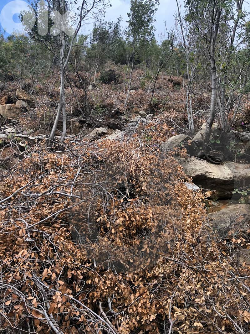 Hot Deal for Investors & Developers - Adonis – Jbeil REF#RS130048 3