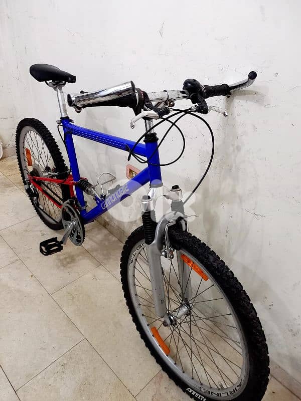 بسكليت Germany 1