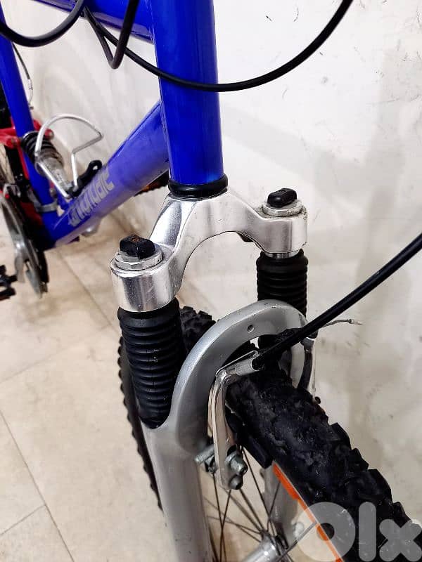 بسكليت Germany 4