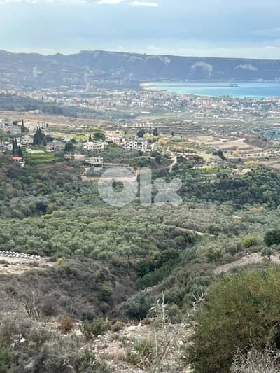 Huge land for sale in Zakroun-Koura أرض شاسعة للبيع في ذكرون - كورة