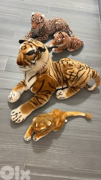 tiger & lion