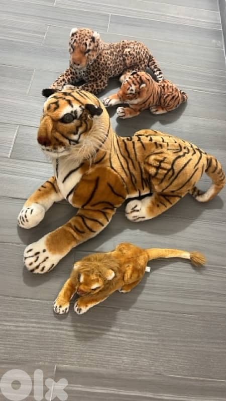 tiger & lion 0