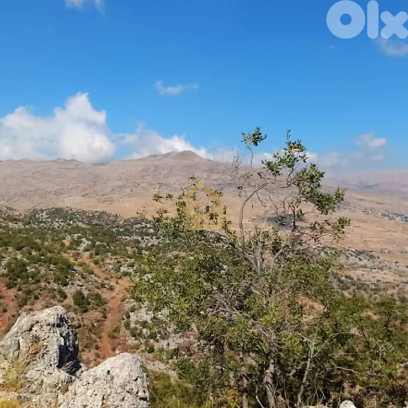 Land for sale in Ain Dara DW14 أرض للبيع في عين دارة 3