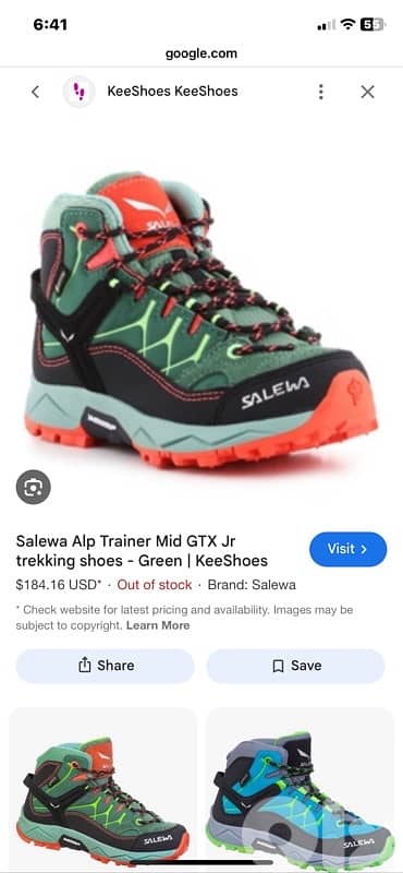 Salewa hiking running shoes 3
