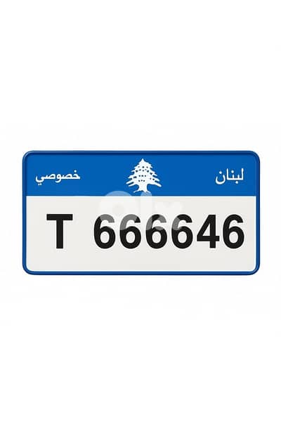 T666646 car special plate numbef