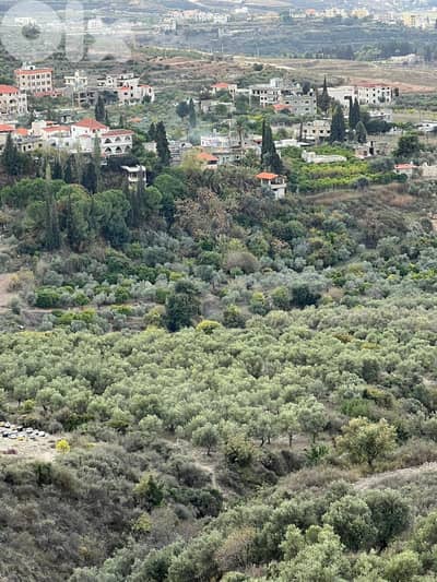 Land for sale in Zakroun -Koura أرض للبيع في ذكرون - كورة