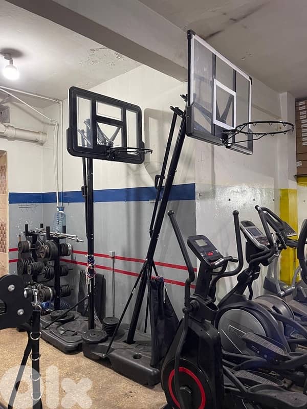 All kind of basketball stand  new 3