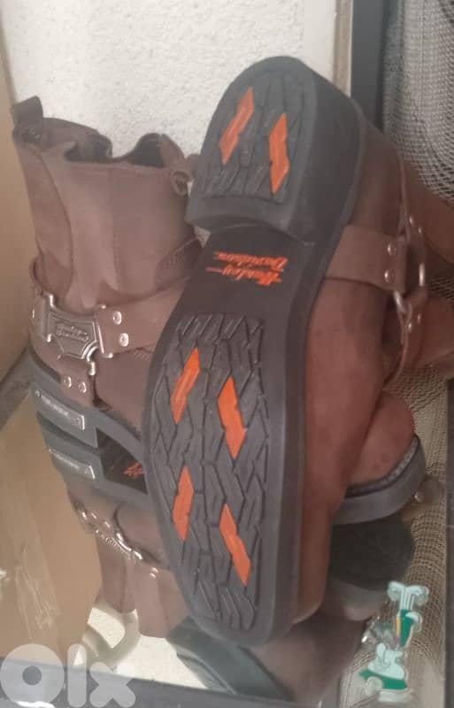 HARLEY DAVIDSON LIKE NEH FROM DUBAI 1