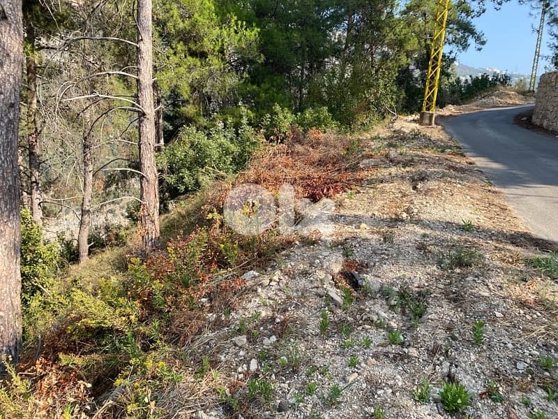 Bezhelبزحل فتوح كسروان تبعد عن أوتوستراد العقيبة ٥ كلم 5