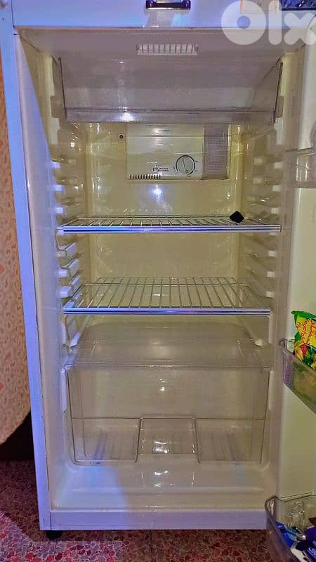 براد شبه جديد 0