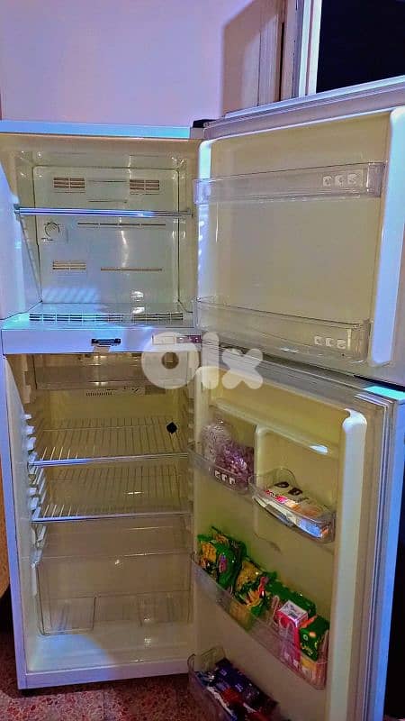 براد شبه جديد 2