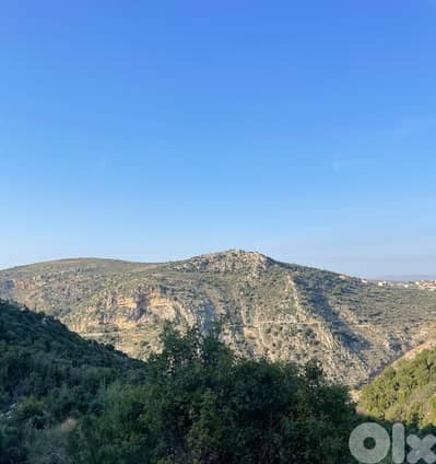 Land for sale in Jebla-Batroun أرض للبيع في جبلا البترون Land for sale in Jebla-Batroun أرض للبيع في جبلا البترون