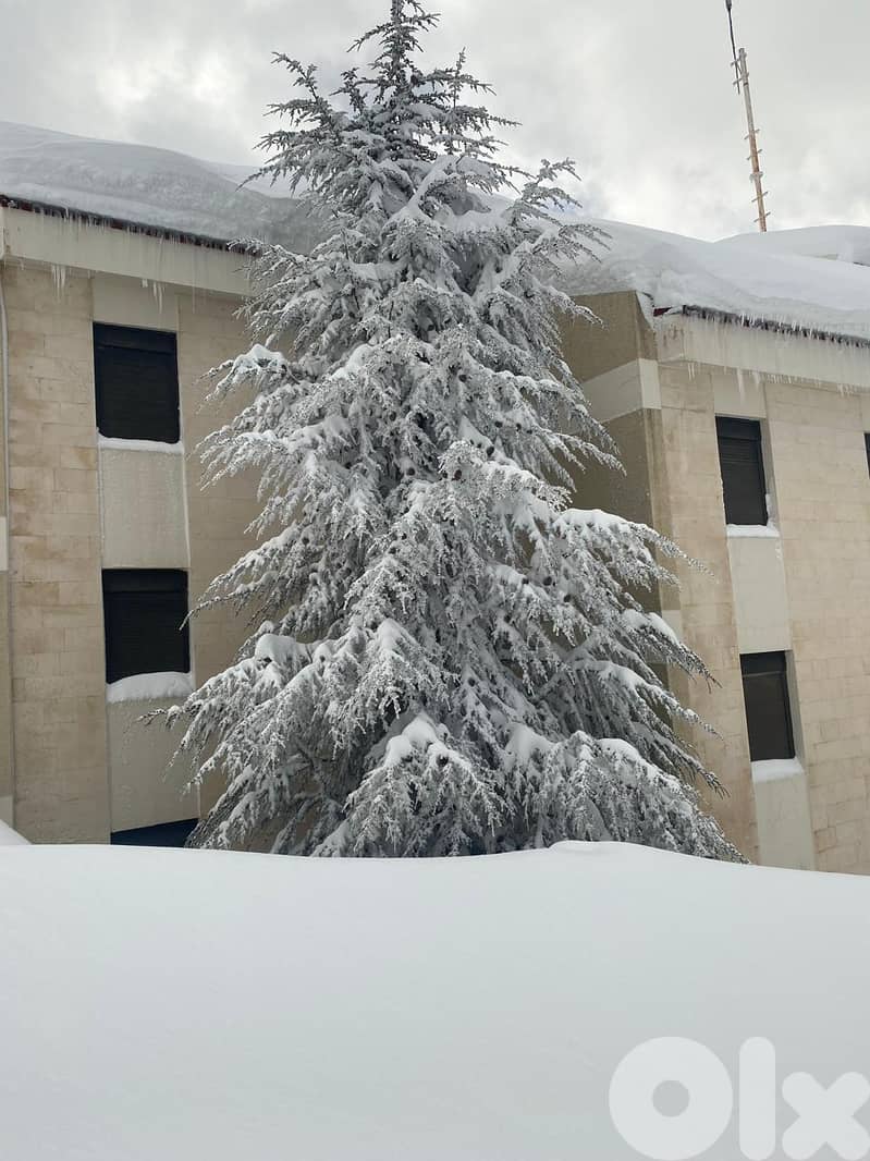 For Rent – Charming Ski-In/Ski-Out Chalet in Zaarour Club 7