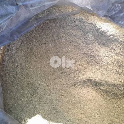 زعتر بلدي محوج ـ جودة عالية ـ ١كغ