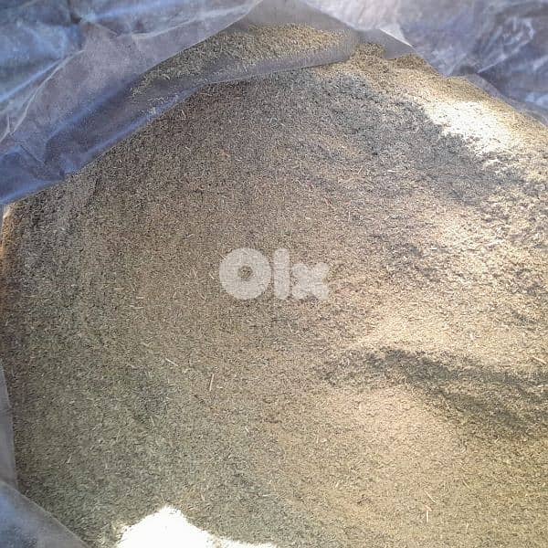 زعتر بلدي محوج ـ جودة عالية ـ ١كغ 0